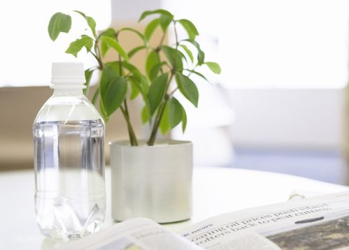 3月底,沖破霧霾,紅鸞星動 ,熬過苦難,迎來幸福,再續前緣 生肖